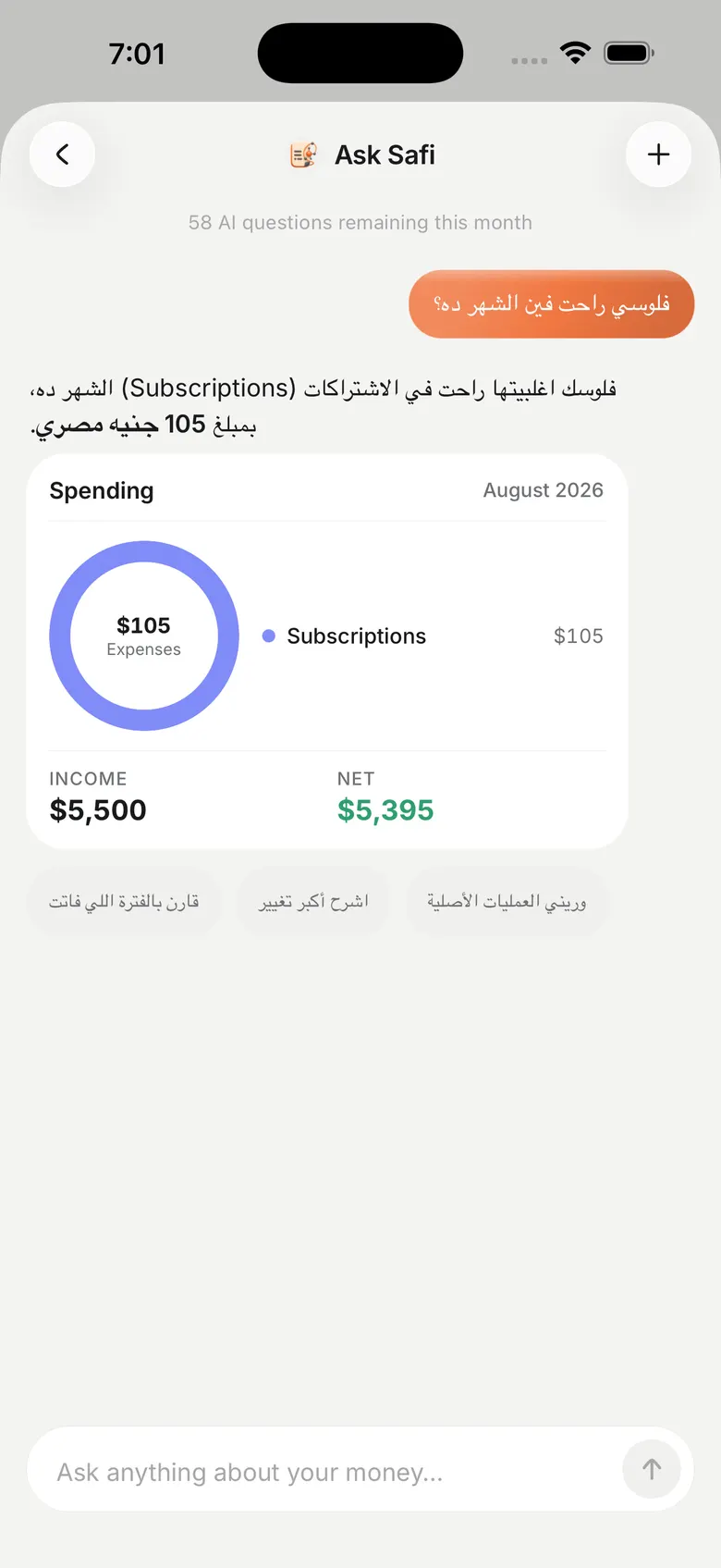 Asking Safi a question about spending and getting a chart back