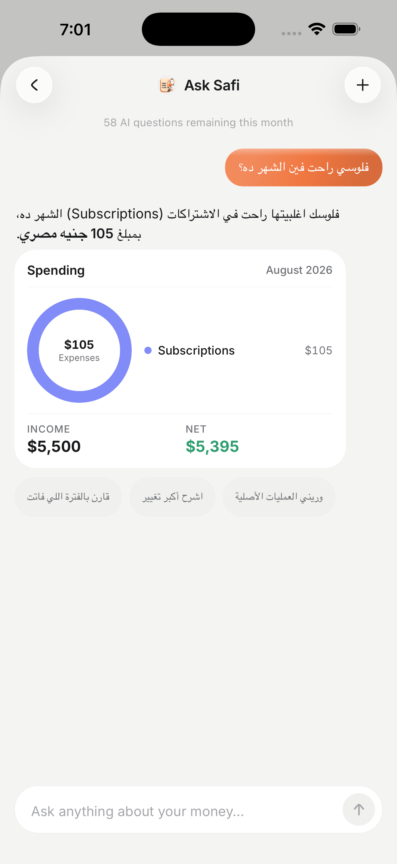 Asking Safi a question about spending and getting a chart back